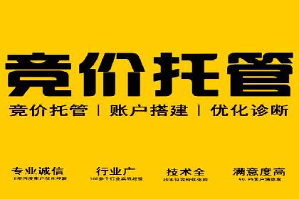 百度广告推广在旅游行业的成功实践